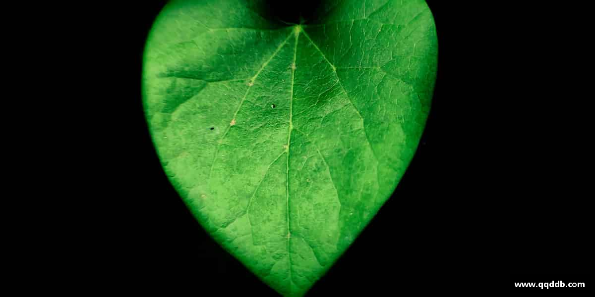 知道emc易倍·体育